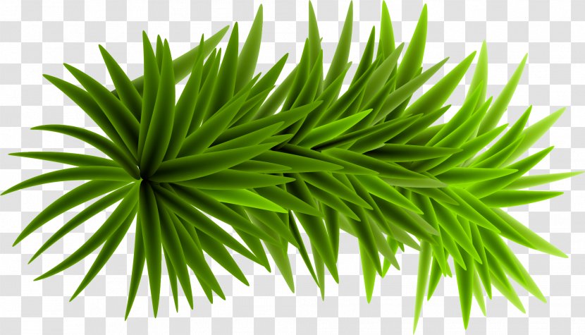 Computer File - Christmas - Small Fresh Green Grass Transparent PNG