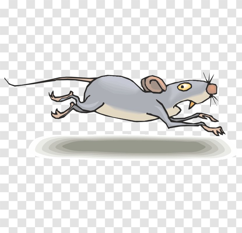 Rat Clip Art Mus Cartoon Drawing - Animated Transparent PNG
