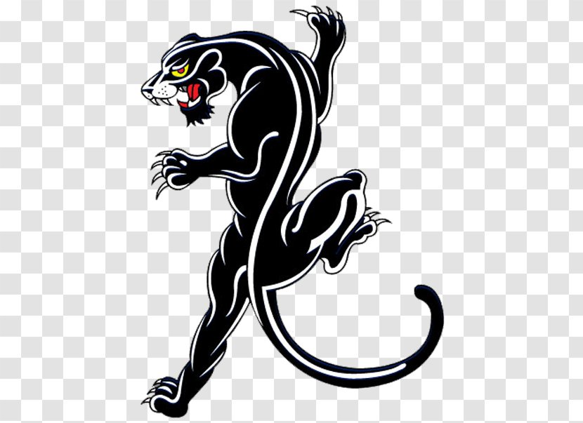 Black Panther Leopard Lion Cougar - Tiger - Animal Transparent PNG