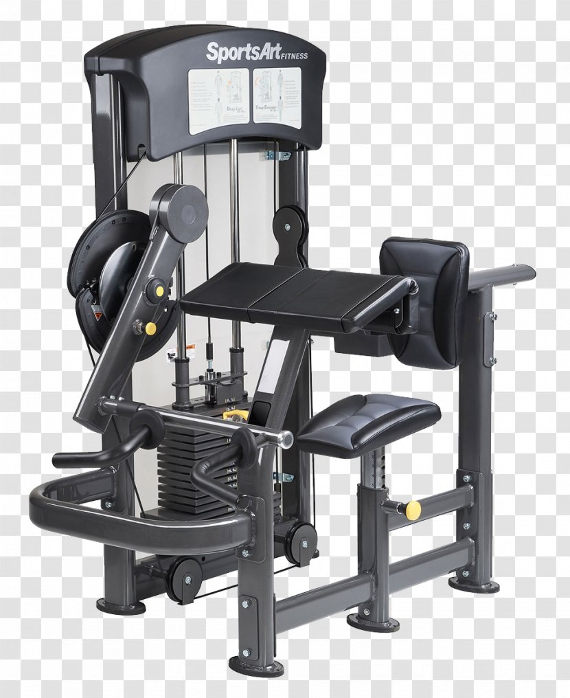 Fitness Centre Sport Physical Strength Training - Exercise Machine - Dumbbell Transparent PNG