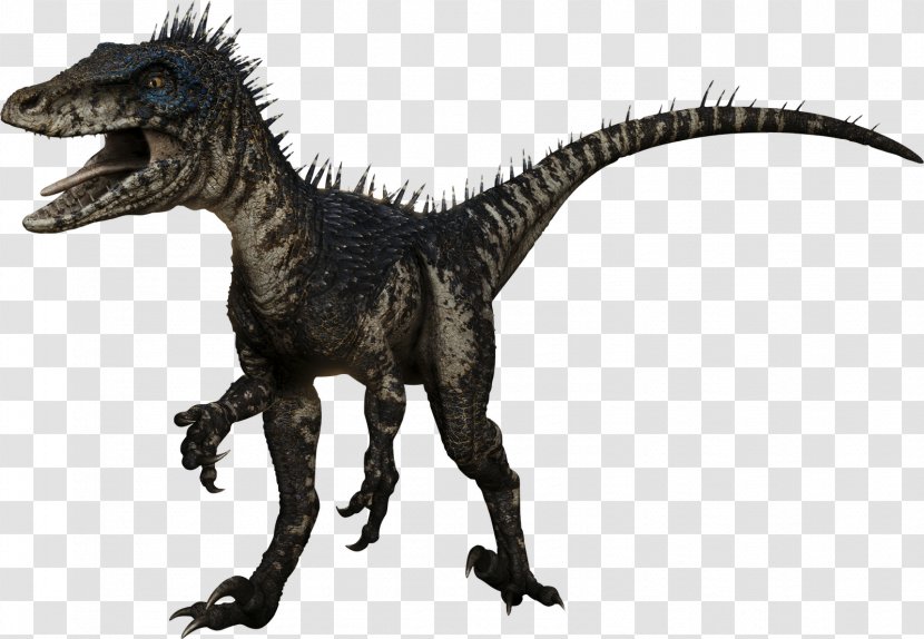 Deinonychus Albertosaurus Velociraptor Spinosaurus Deinosuchus - Jurassic World Transparent PNG