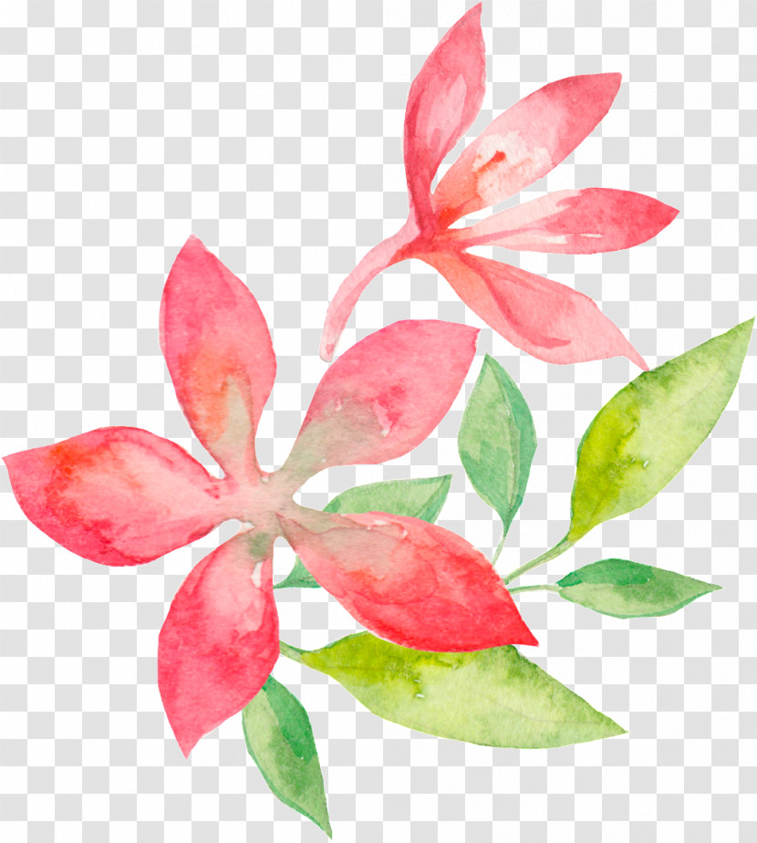 Floral Design Transparent PNG