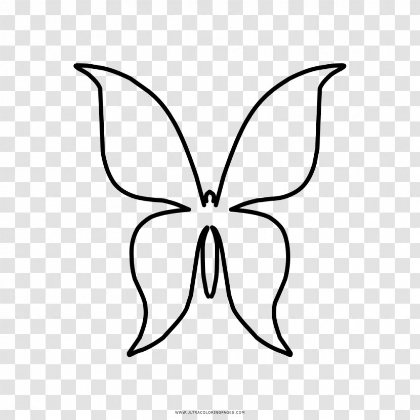 Butterfly Drawing Coloring Book Ailanthus Silkmoth - Brush Footed Transparent PNG