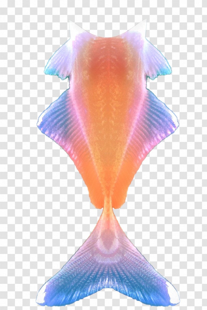Siamese Fighting Fish Tail Mermaid Clip Art - Petal Transparent PNG