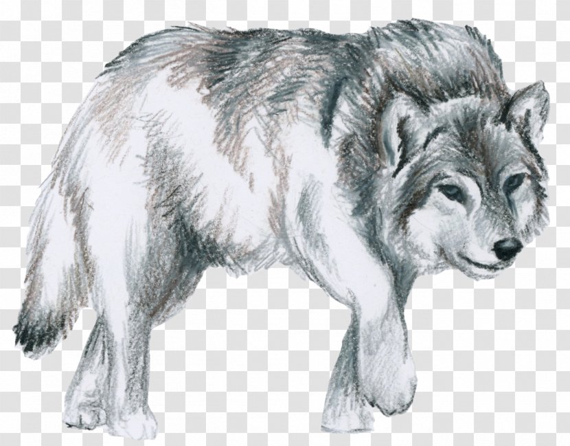 native american wolfdog