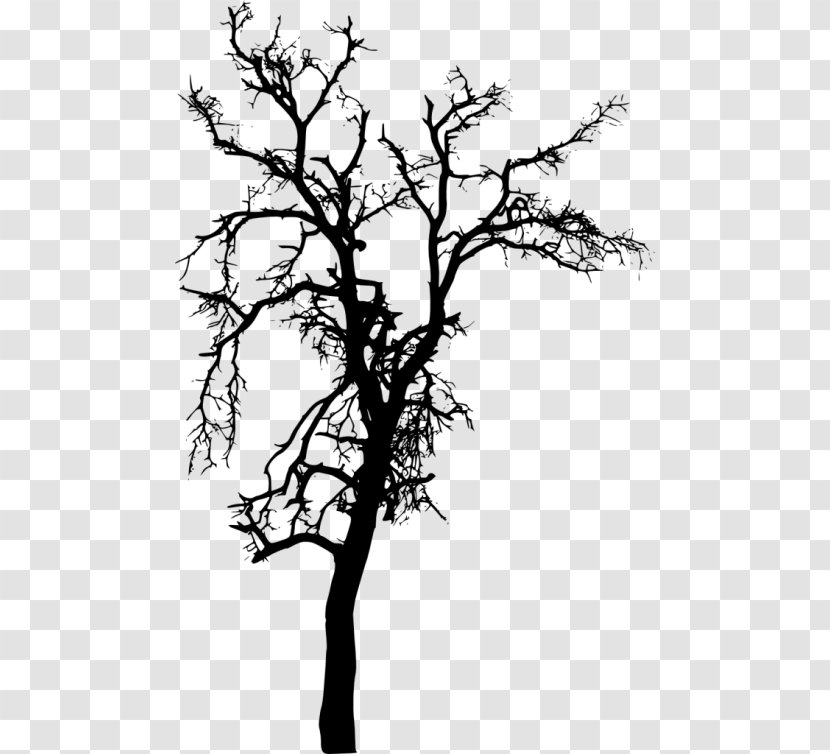 Silhouette Black And White Photography - Branch Transparent PNG