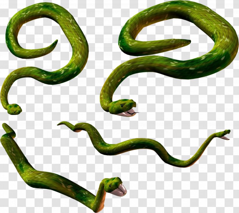 Snake Lizard Reptile Clip Art - Vertebrate Transparent PNG