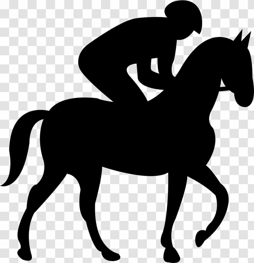 Horse Equestrian - Stallion Transparent PNG