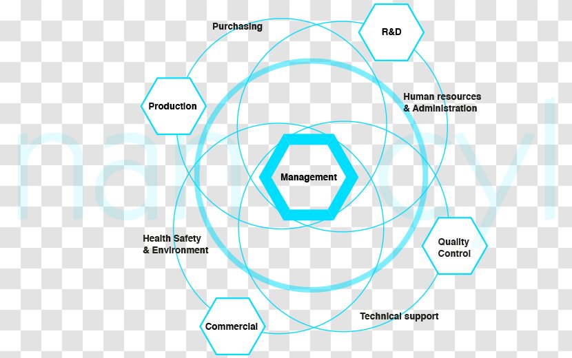 Brand Circle Technology - Organization - Team Structure Transparent PNG