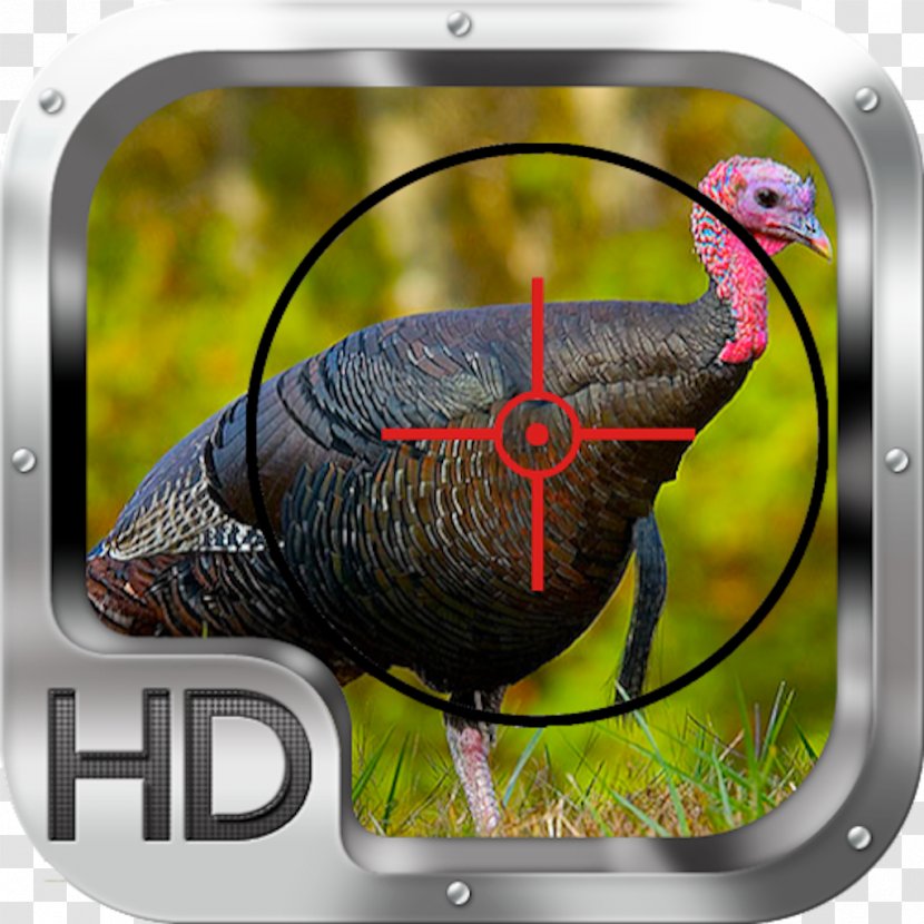 Turkey Bird Bourbon Red Food Plot - Beak Transparent PNG