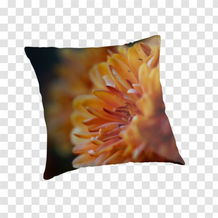 Throw Pillows Cushion - Orange Chrysanthemum Transparent PNG