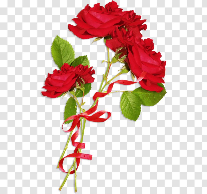 Day Image Bonjour GIF Love - Garden Roses - Composite Flower Transparent PNG