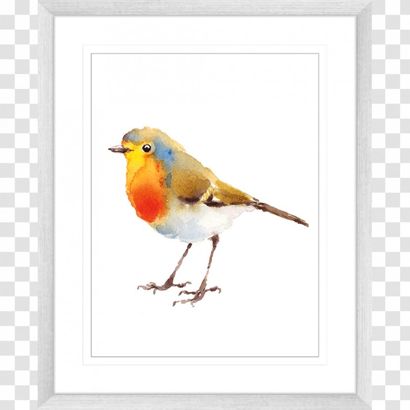 Watercolor Painting European Robin Drawing Transparent PNG