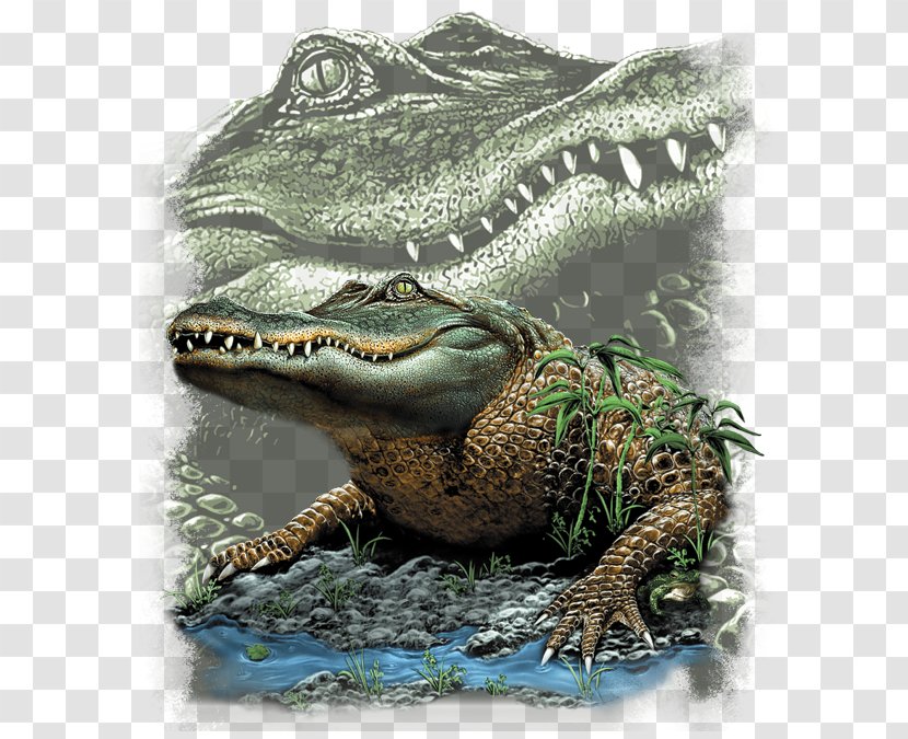 T-shirt Hoodie Top Alligators - Crocodilia - Swamp Transparent PNG