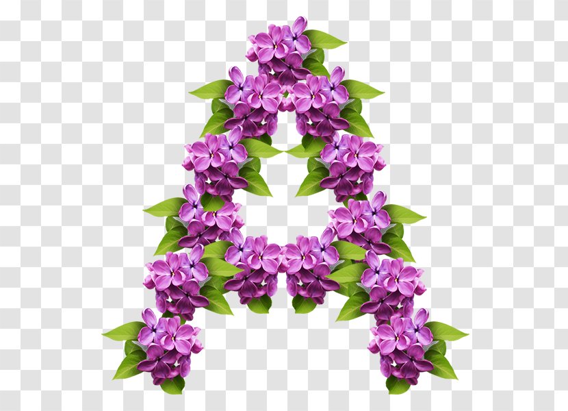 Russian Alphabet Letter English - Lei - Dendrobium Transparent PNG