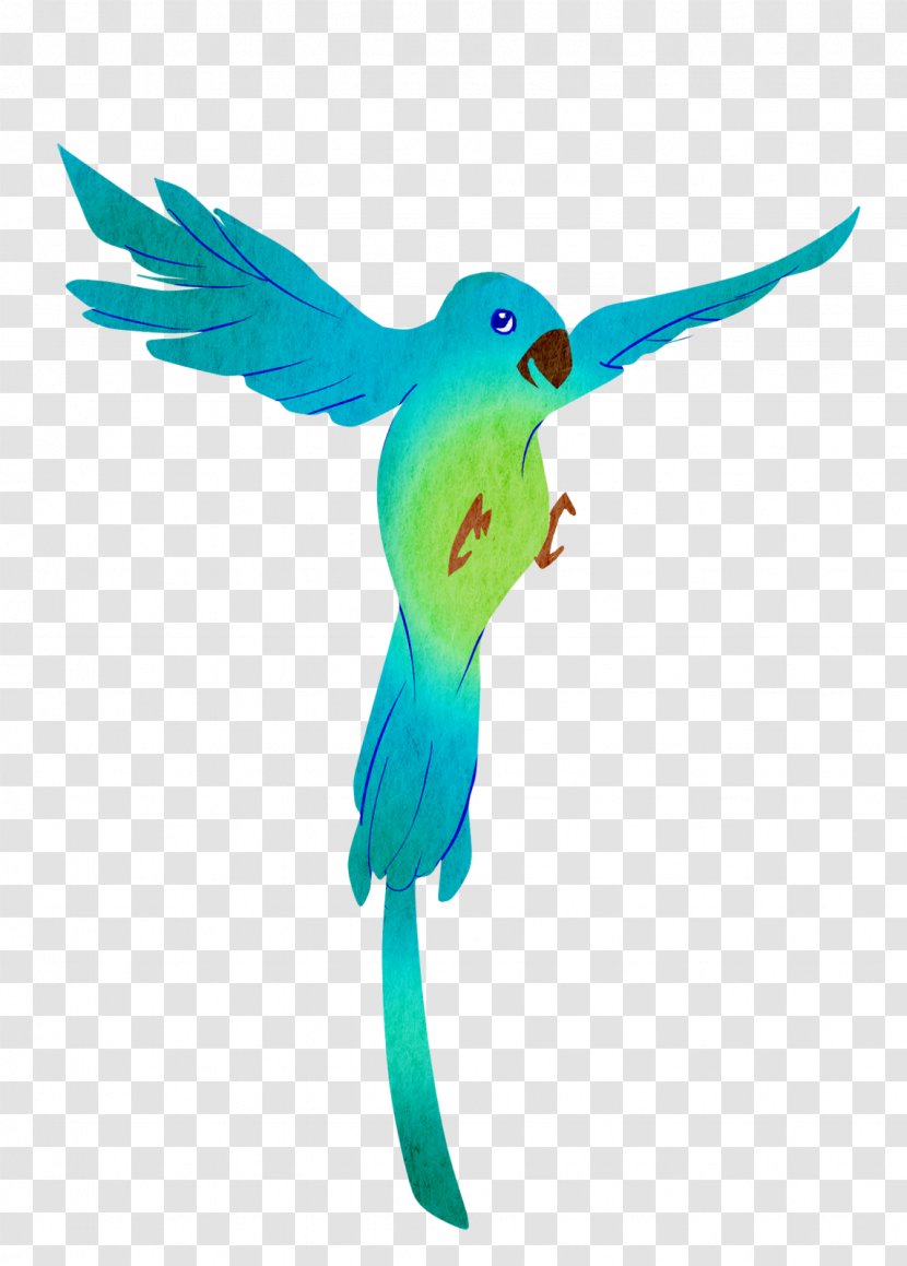 Parrot Bird Parakeet Macaw Feather Transparent PNG