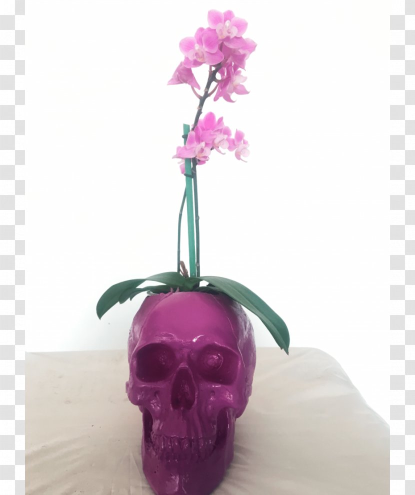 Flowerpot Flowering Plant Pink M - Magenta - Flower Transparent PNG