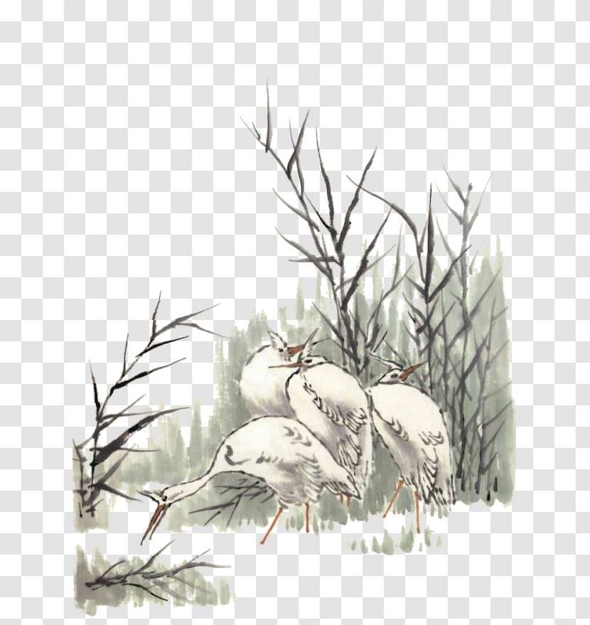 Drawing Crane Illustration - Flora - Reeds Transparent PNG