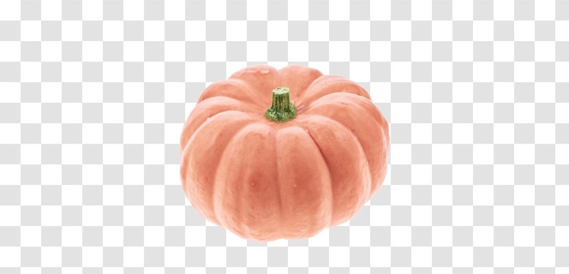 Gourd Pumpkin Pie Winter Squash Cucurbita - Orange Transparent PNG
