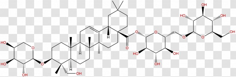 Molecule Structure Chemistry Molecular Geometry Chemical Compound - Tree - Phytochemicals Transparent PNG