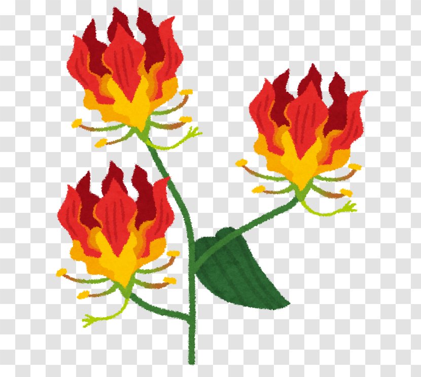 Tulip Ise Flower Petal Fire Lilies - Afacere Transparent PNG