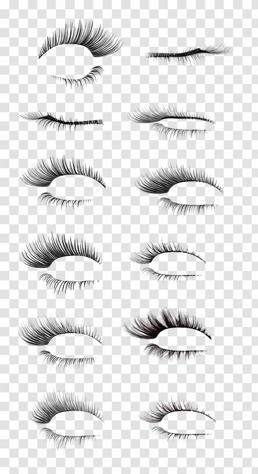 Eyelash Clip Art - Tree - Lashes Transparent PNG