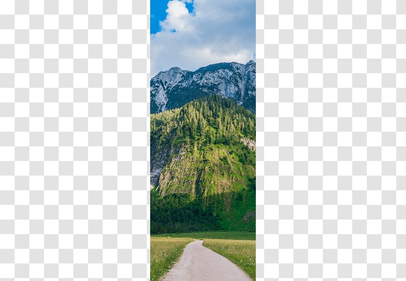 Mount Scenery Mountain Trail Walkway Wood Transparent PNG