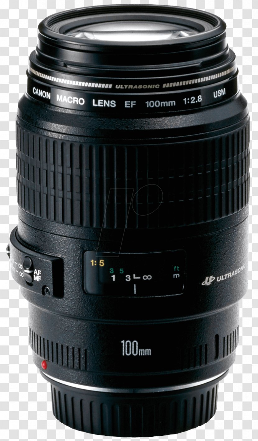 Canon EF Lens Mount 100mm F/2.8 Macro USM Photography - Ef - Camera Transparent PNG