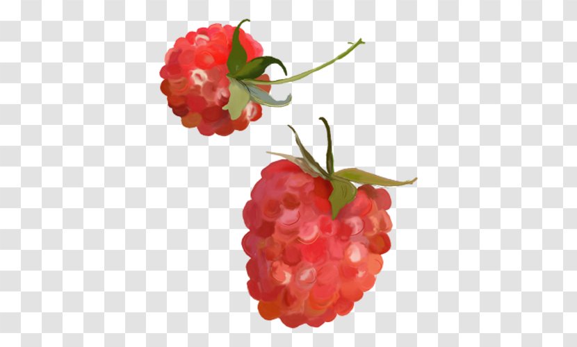 Raspberry Strawberry - Fruit - Two Raspberries Transparent PNG
