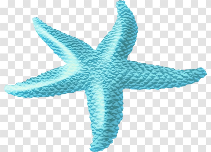 Starfish Sea Clip Art - Transparency And Translucency - Ocean Pull The Material Transparent PNG