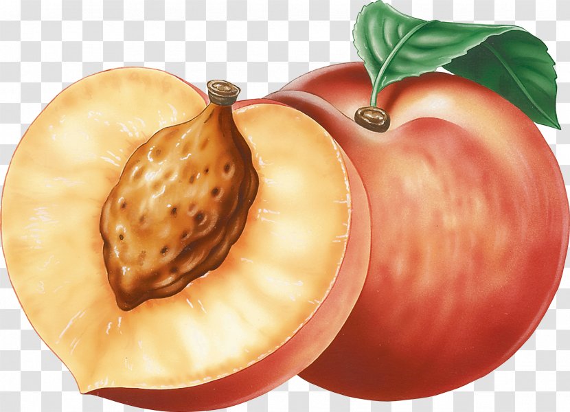 Nectarine Clip Art - Peach - Image Transparent PNG
