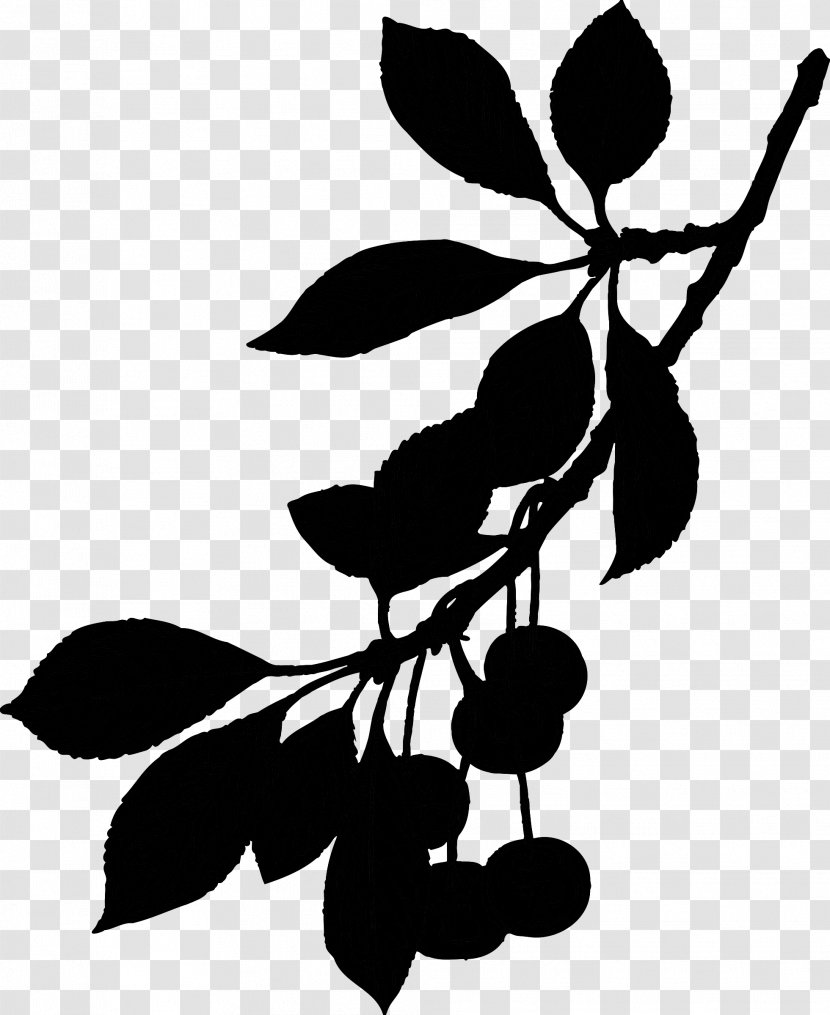 Fruit Image Drawing Illustration Painting - Silhouette - Plant Transparent PNG