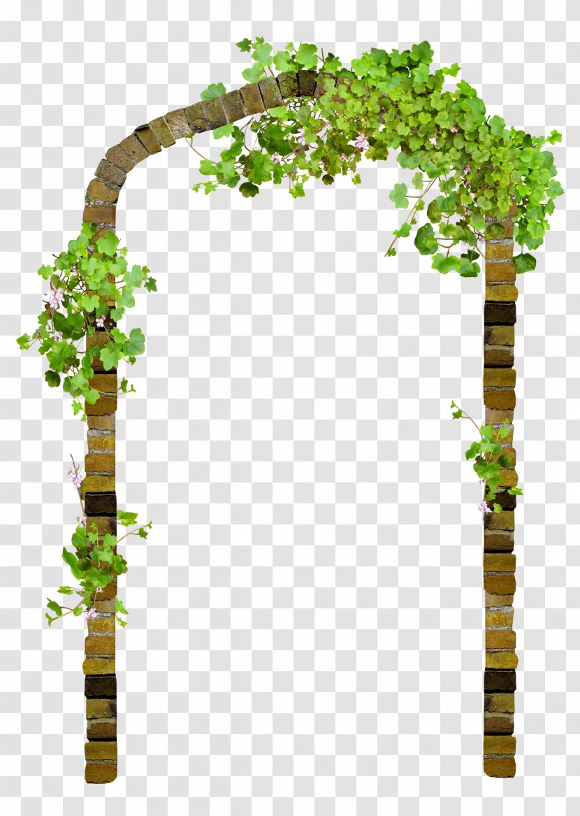 Download Blog - Ivy - Garland Frame Transparent PNG