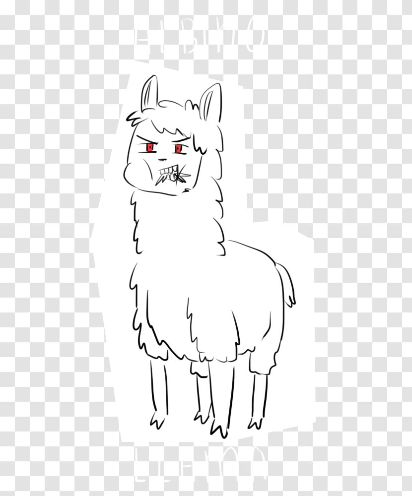 Whiskers Camel Line Art /m/02csf Drawing - Paw - Llama Transparent PNG