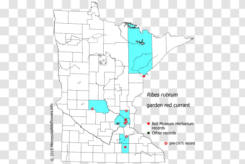 Line Point Land Lot Angle Map Transparent PNG