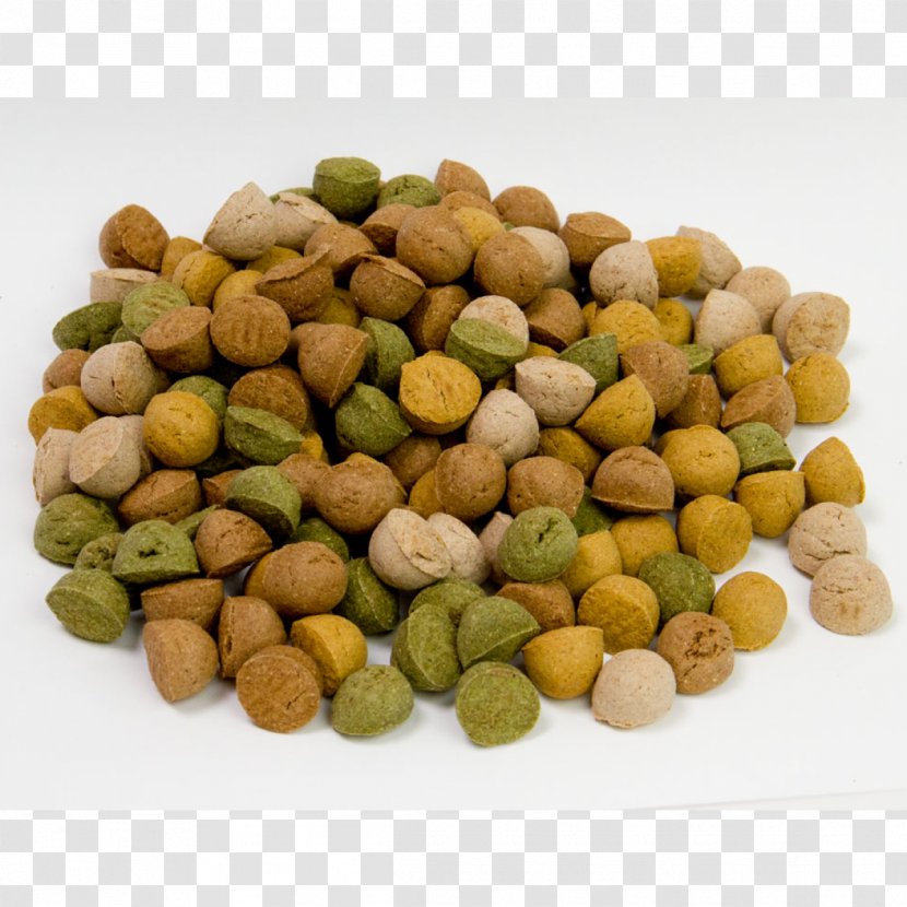 Dog Food Fodder Vegetarian Cuisine Transparent PNG