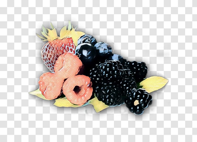Blackberry Fruit Food Berry Plant - Pop Art - Superfood Transparent PNG