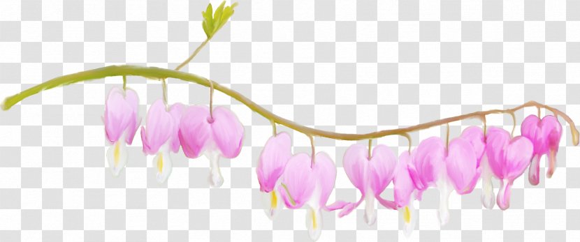 Flower Petal Raster Graphics Clip Art - Plant Stem Transparent PNG