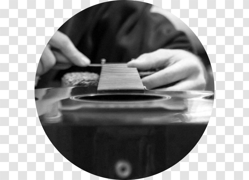 RainSong Acoustic Guitar Carbon Fibers - Heart Transparent PNG