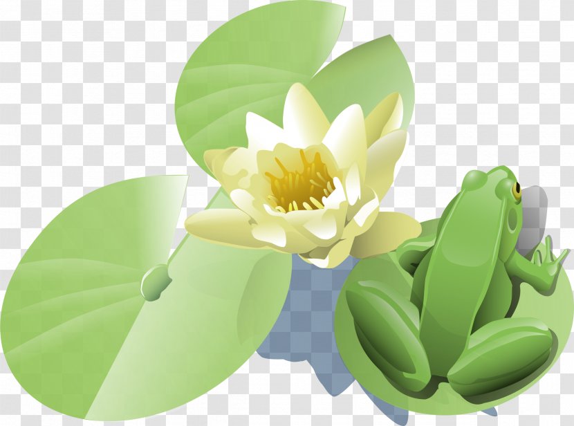 Frog Egyptian Lotus Clip Art - Green - Waterlily Transparent PNG