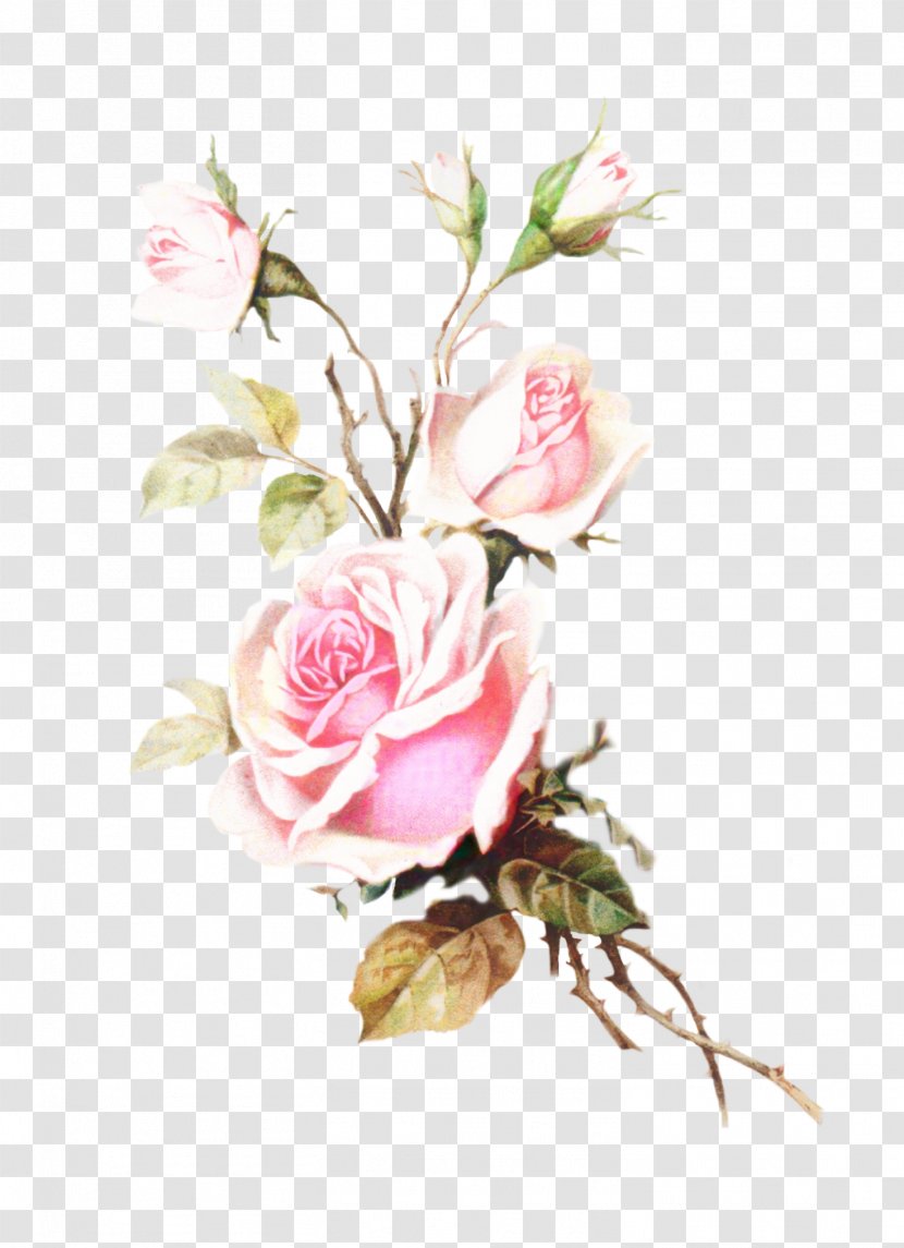 Watercolor Pink Flowers - Floral Design - Pedicel Flower Arranging Transparent PNG