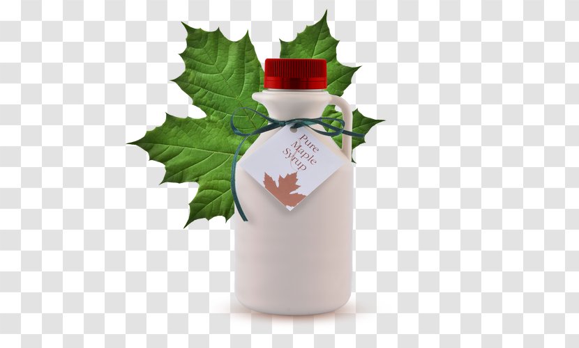 Canadian Cuisine Maple Syrup Sugar French Toast - Flowerpot - Bottle Transparent PNG