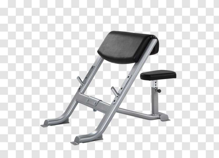 Bench Biceps Curl Chair - Exercise Machine - American Transparent PNG