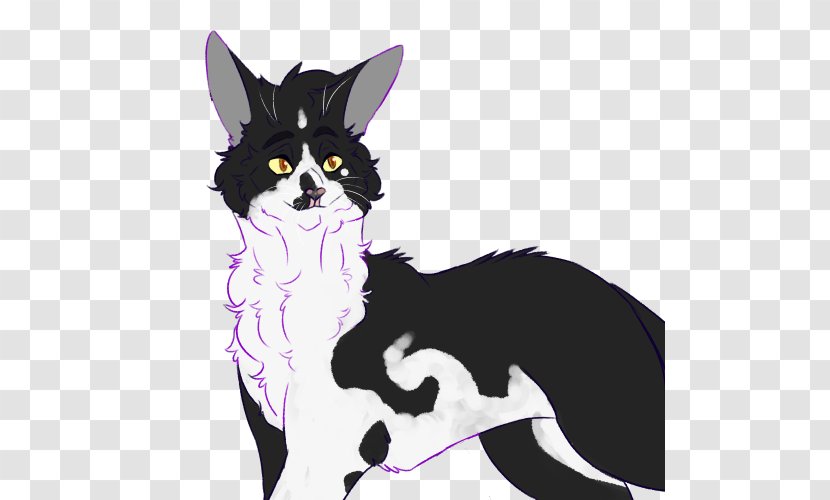 Whiskers Dog Breed Cat Transparent PNG