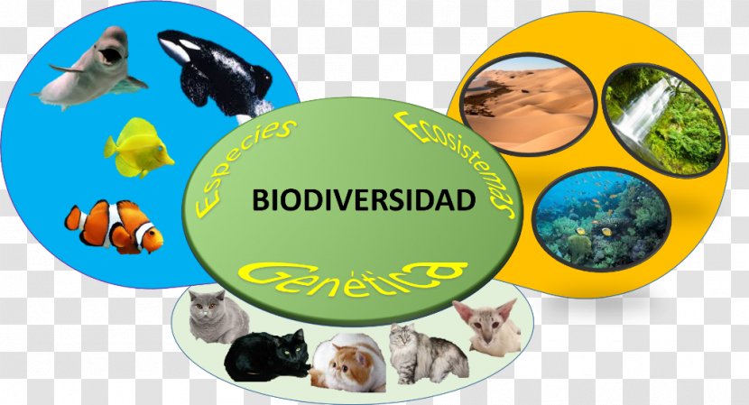 Biodiversity Ecosystem Diversity Introduced Species - Life Transparent PNG