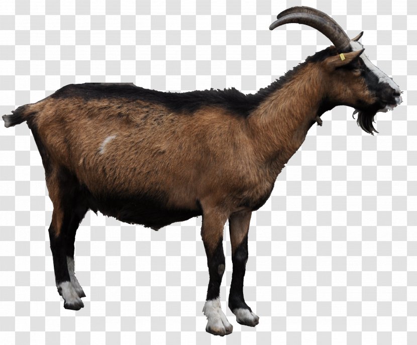 Goat Clip Art - Document - File Transparent PNG