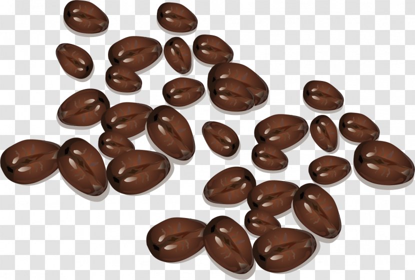 Coffee Bean Tea Cafe Starbucks - Beans Material Picture Transparent PNG