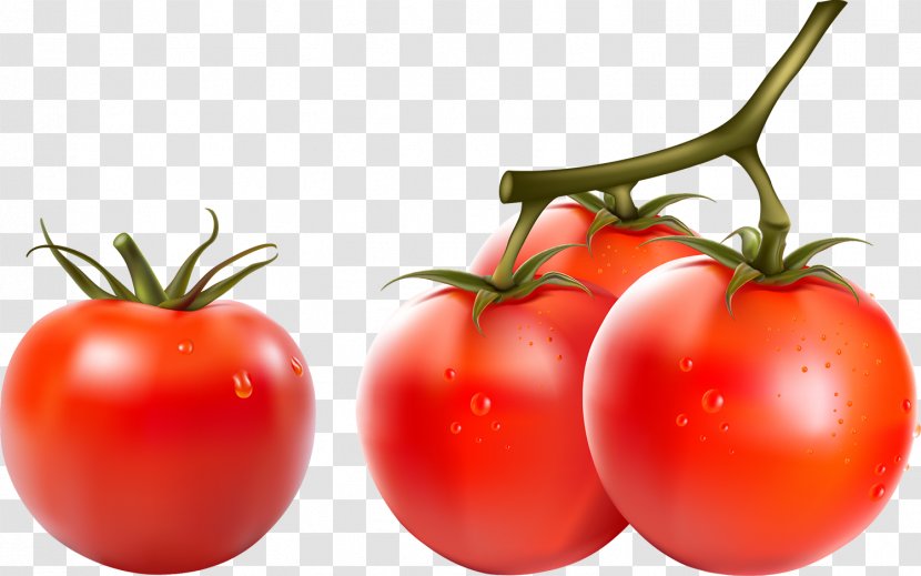 Cherry Tomato Vegetable Capsicum Clip Art - Food Transparent PNG