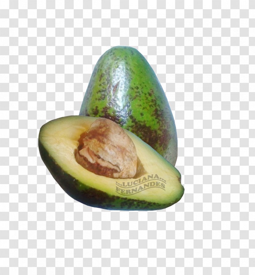 Avocado Food Ingredient Nut - Interchange File Format Transparent PNG