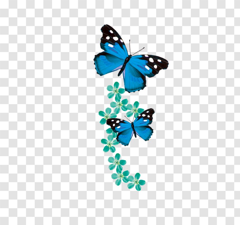 Monarch Butterfly Blue - Phengaris Alcon Transparent PNG